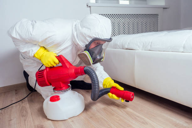 Indoor Pest Control in Richton Park, IL